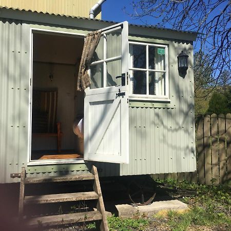 Posh Huts Farmstay Falstone Екстер'єр фото