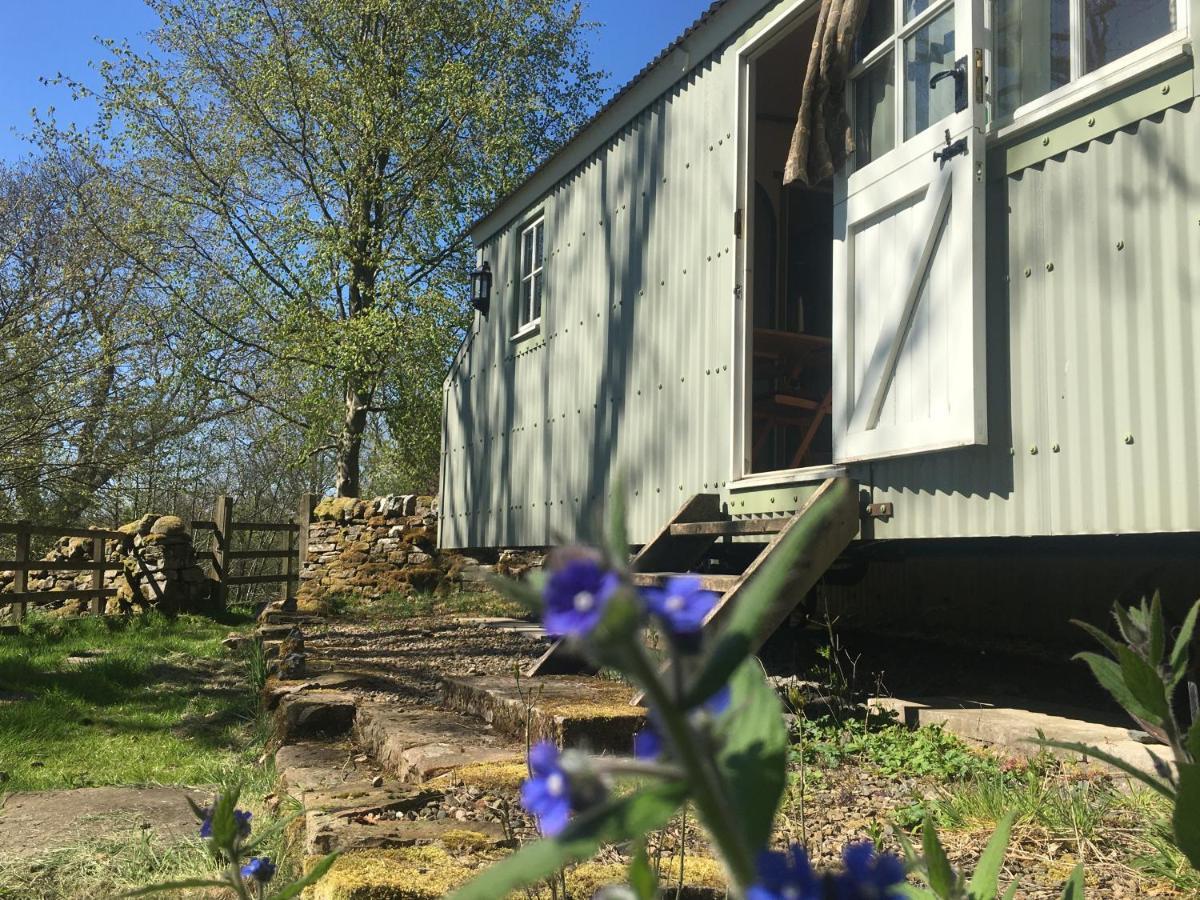 Posh Huts Farmstay Falstone Екстер'єр фото