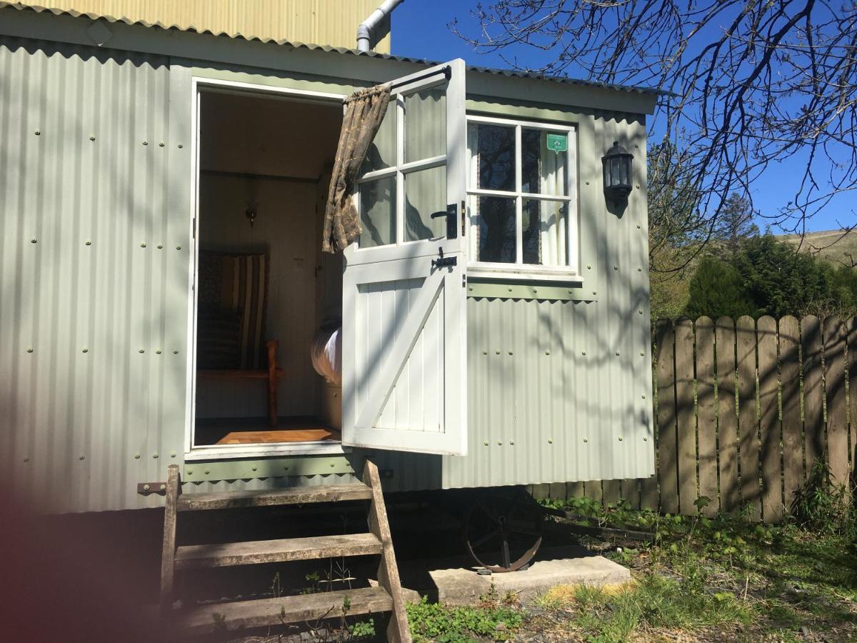 Posh Huts Farmstay Falstone Екстер'єр фото