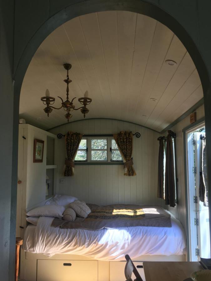Posh Huts Farmstay Falstone Екстер'єр фото