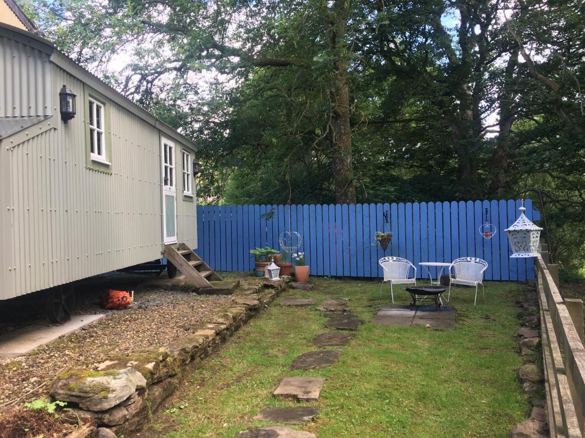 Posh Huts Farmstay Falstone Екстер'єр фото