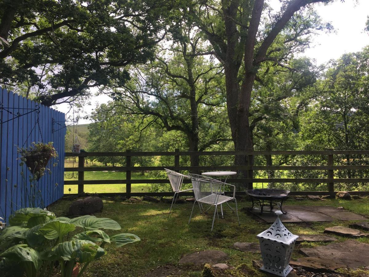 Posh Huts Farmstay Falstone Екстер'єр фото