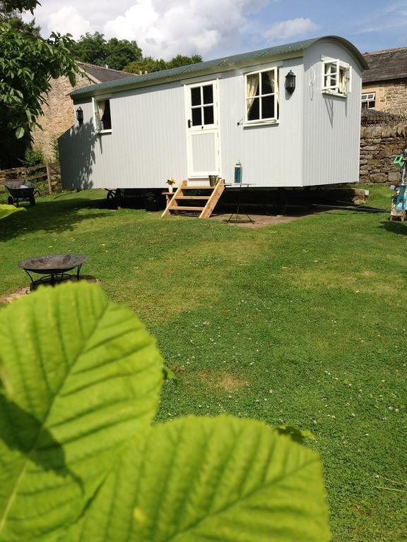 Posh Huts Farmstay Falstone Номер фото